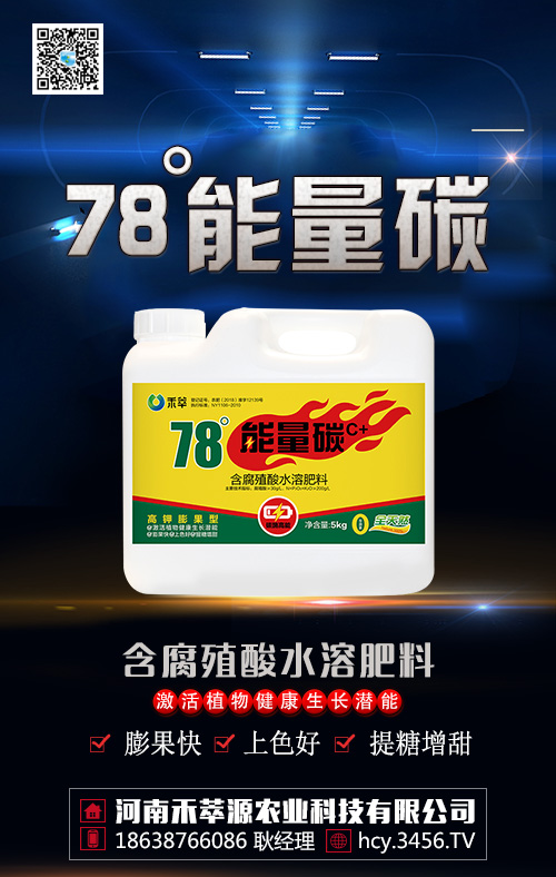 柑橘着色提糖有什么有方法?,做好这几点,柑橘着色提糖不用愁 柑橘着色提糖有什么有方法?,做好这几点,柑橘着色提糖不用愁