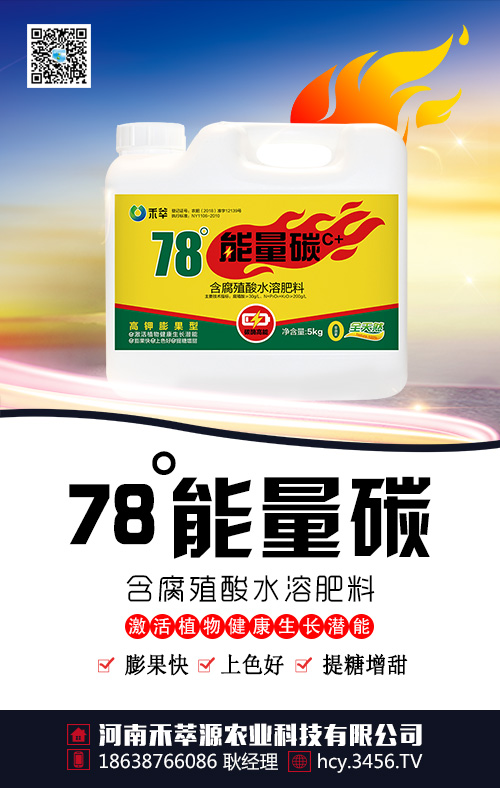 柑橘着色提糖有什么有方法?,做好这几点,柑橘着色提糖不用愁 柑橘着色提糖有什么有方法?,做好这几点,柑橘着色提糖不用愁
