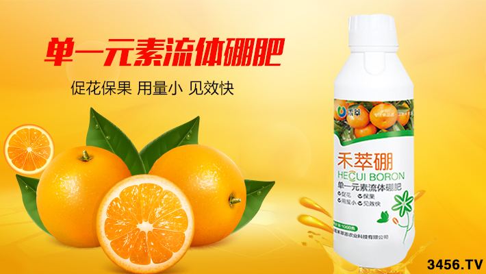 掌握柑橘的促花保花和保果技术,今年柑橘稳定高产 掌握柑橘的促花保花和保果技术,今年柑橘稳定高产